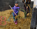 Badyhoeve is een terrein dat tot 3kinderen en hun pony's met de hond Djackson behoort.