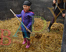 Badyhoeve is een terrein dat tot 3kinderen en hun pony's met de hond Djackson behoort.