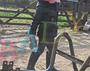 Badyhoeve is een terrein dat tot 3kinderen en hun pony's met de hond Djackson behoort.