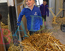 Badyhoeve is een terrein dat tot 3kinderen en hun pony's met de hond Djackson behoort.