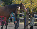 Badyhoeve is een terrein dat tot 3kinderen en hun pony's met de hond Djackson behoort.