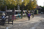 Badyhoeve is een terrein dat tot 3kinderen en hun pony's met de hond Djackson behoort.
