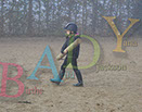 Badyhoeve is een terrein dat tot 3kinderen en hun pony's met de hond Djackson behoort.