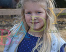 Badyhoeve is een terrein dat tot 3kinderen en hun pony's met de hond Djackson behoort.