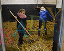 Badyhoeve is een terrein dat tot 3kinderen en hun pony's met de hond Djackson behoort.