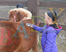 Badyhoeve is een terrein dat tot 3kinderen en hun pony's met de hond Djackson behoort.