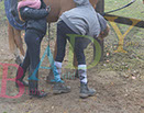 Badyhoeve is een terrein dat tot 3kinderen en hun pony's met de hond Djackson behoort.