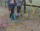Badyhoeve is een terrein dat tot 3kinderen en hun pony's met de hond Djackson behoort.