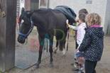 Badyhoeve is een terrein dat tot 3kinderen en hun pony's met de hond Djackson behoort.