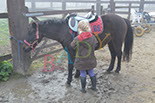 Badyhoeve is een terrein dat tot 3kinderen en hun pony's met de hond Djackson behoort.