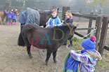 Badyhoeve is een terrein dat tot 3kinderen en hun pony's met de hond Djackson behoort.