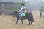 Badyhoeve is een terrein dat tot 3kinderen en hun pony's met de hond Djackson behoort.