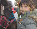 Badyhoeve is een terrein dat tot 3kinderen en hun pony's met de hond Djackson behoort.