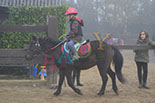 Badyhoeve is een terrein dat tot 3kinderen en hun pony's met de hond Djackson behoort.