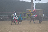 Badyhoeve is een terrein dat tot 3kinderen en hun pony's met de hond Djackson behoort.
