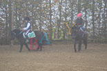Badyhoeve is een terrein dat tot 3kinderen en hun pony's met de hond Djackson behoort.