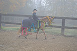 Badyhoeve is een terrein dat tot 3kinderen en hun pony's met de hond Djackson behoort.