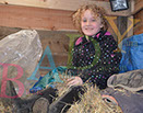 Badyhoeve is een terrein dat tot 3kinderen en hun pony's met de hond Djackson behoort.