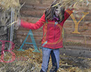 Badyhoeve is een terrein dat tot 3kinderen en hun pony's met de hond Djackson behoort.