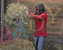 Badyhoeve is een terrein dat tot 3kinderen en hun pony's met de hond Djackson behoort.