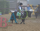 Badyhoeve is een terrein dat tot 3kinderen en hun pony's met de hond Djackson behoort.