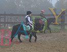 Badyhoeve is een terrein dat tot 3kinderen en hun pony's met de hond Djackson behoort.