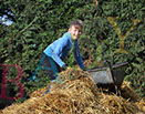 Badyhoeve is een terrein dat tot 3kinderen en hun pony's met de hond Djackson behoort.