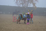 Badyhoeve is een terrein dat tot 3kinderen en hun pony's met de hond Djackson behoort.