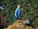 Badyhoeve is een terrein dat tot 3kinderen en hun pony's met de hond Djackson behoort.