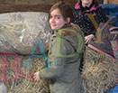 Badyhoeve is een terrein dat tot 3kinderen en hun pony's met de hond Djackson behoort.