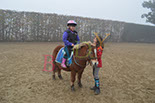 Badyhoeve is een terrein dat tot 3kinderen en hun pony's met de hond Djackson behoort.