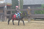 Badyhoeve is een terrein dat tot 3kinderen en hun pony's met de hond Djackson behoort.