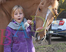 Badyhoeve is een terrein dat tot 3kinderen en hun pony's met de hond Djackson behoort.
