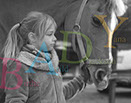 Badyhoeve is een terrein dat tot 3kinderen en hun pony's met de hond Djackson behoort.