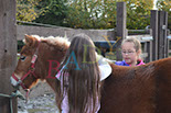 Badyhoeve is een terrein dat tot 3kinderen en hun pony's met de hond Djackson behoort.