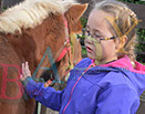 Badyhoeve is een terrein dat tot 3kinderen en hun pony's met de hond Djackson behoort.