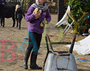 Badyhoeve is een terrein dat tot 3kinderen en hun pony's met de hond Djackson behoort.