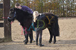 Badyhoeve is een terrein dat tot 3kinderen en hun pony's met de hond Djackson behoort.