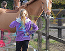 Badyhoeve is een terrein dat tot 3kinderen en hun pony's met de hond Djackson behoort.