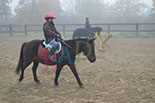 Badyhoeve is een terrein dat tot 3kinderen en hun pony's met de hond Djackson behoort.