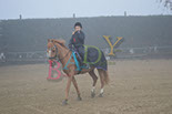 Badyhoeve is een terrein dat tot 3kinderen en hun pony's met de hond Djackson behoort.