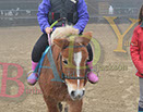 Badyhoeve is een terrein dat tot 3kinderen en hun pony's met de hond Djackson behoort.