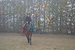 Badyhoeve is een terrein dat tot 3kinderen en hun pony's met de hond Djackson behoort.