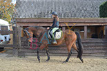 Badyhoeve is een terrein dat tot 3kinderen en hun pony's met de hond Djackson behoort.