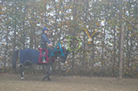 Badyhoeve is een terrein dat tot 3kinderen en hun pony's met de hond Djackson behoort.