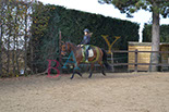 Badyhoeve is een terrein dat tot 3kinderen en hun pony's met de hond Djackson behoort.