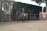 Badyhoeve is een terrein dat tot 3kinderen en hun pony's met de hond Djackson behoort.