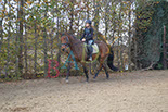 Badyhoeve is een terrein dat tot 3kinderen en hun pony's met de hond Djackson behoort.