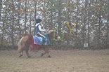 Badyhoeve is een terrein dat tot 3kinderen en hun pony's met de hond Djackson behoort.