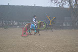 Badyhoeve is een terrein dat tot 3kinderen en hun pony's met de hond Djackson behoort.